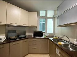 The Aston (D10), Apartment #483042531